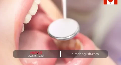 مدرک NDEB 2024 چیست؟ آزمون پذیرش دندانپزشکان کانادا